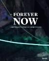 The Forever Now: Contemporary Painting in An Atemporal World