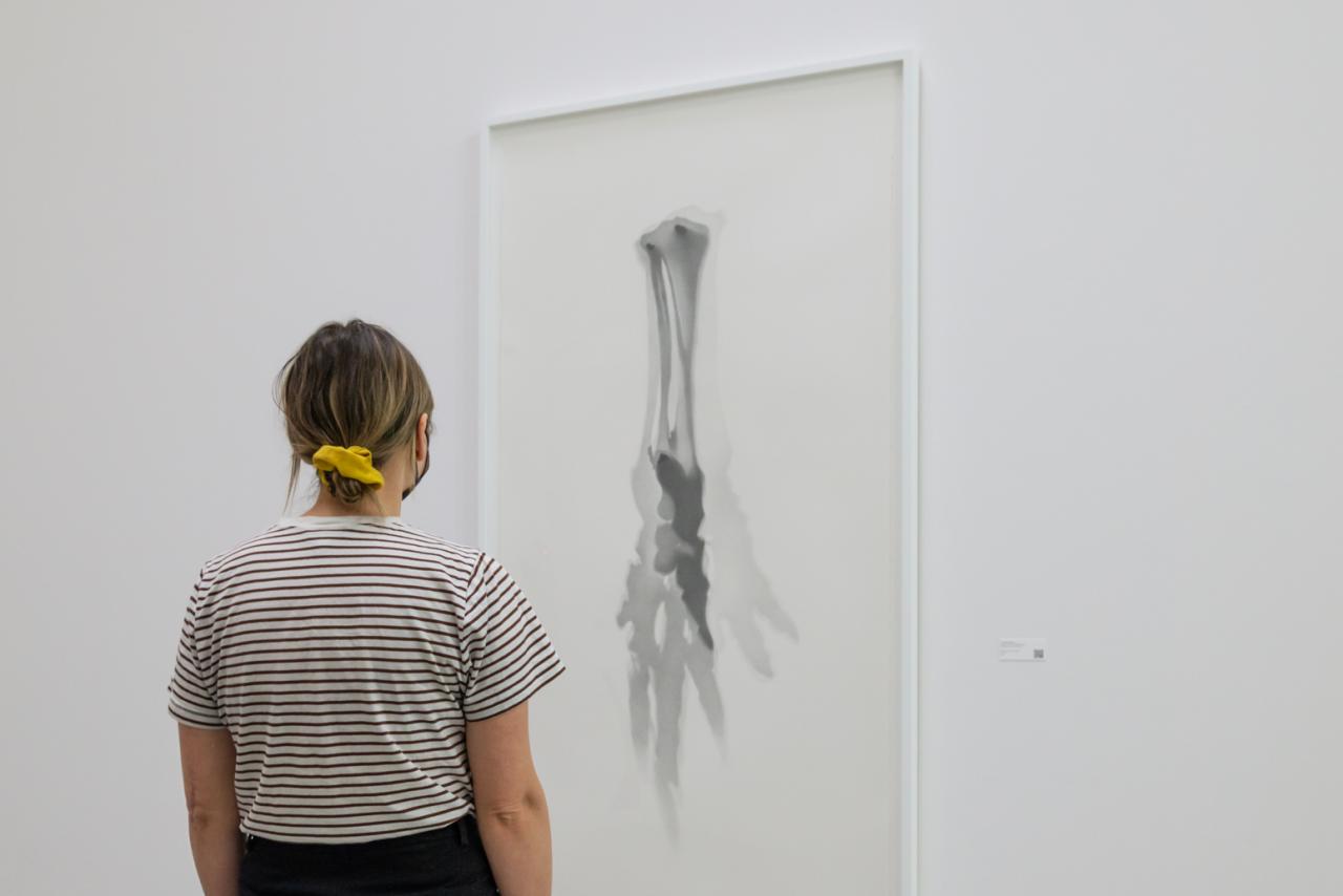 viewer looks a framed graphite drawing depicting the shadows cast from the bones of anelephant foot