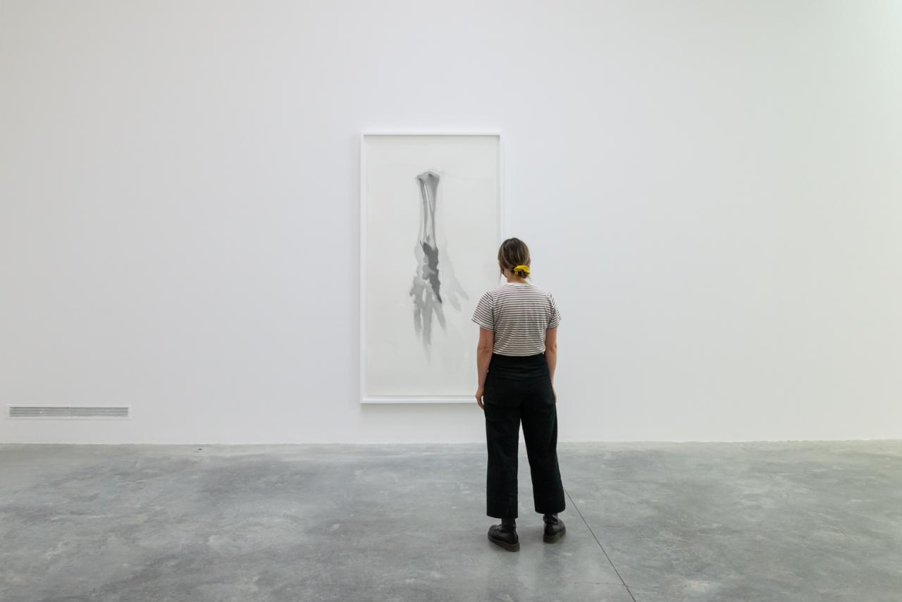viewer looks at a framed graphite drawing depicting the shadows cast from the bones of anelephant foot