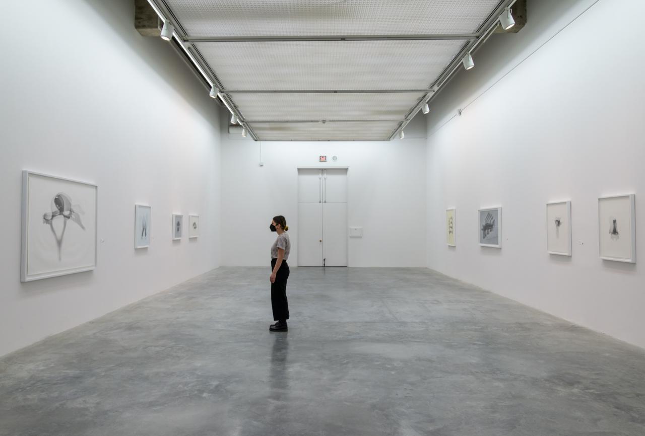 viewer looks at framed graphite drawings in a gallery
