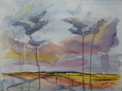 2. DSD Camrose Watercolor.jpg