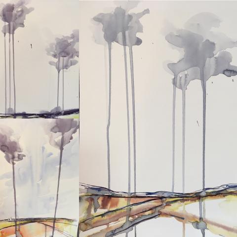 3. DSD BC Watercolors.jpg