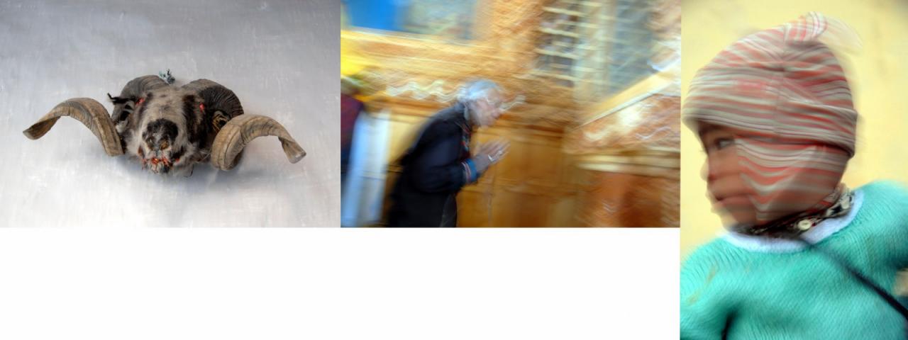 Promotional image from exhibition. Collage of a sheeps head, a figure praying and a child. Promotional image from exhibition. Collage of a sheeps head, a figure praying and a child.