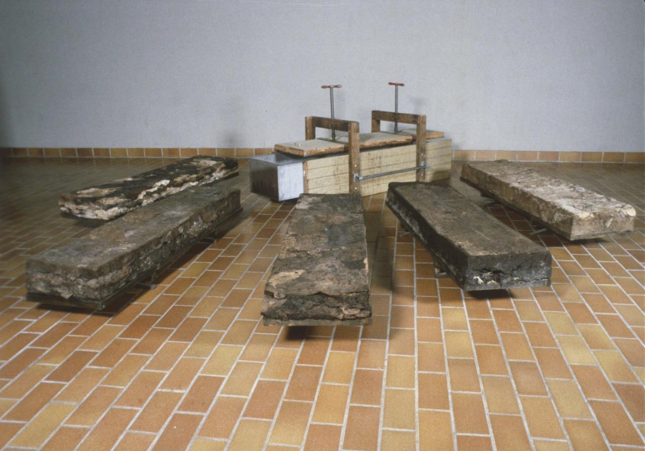 Liz Magor, Four Boys and A Girl, installation view, 1981. Liz Magor, Four Boys and A Girl, installation view, 1981.