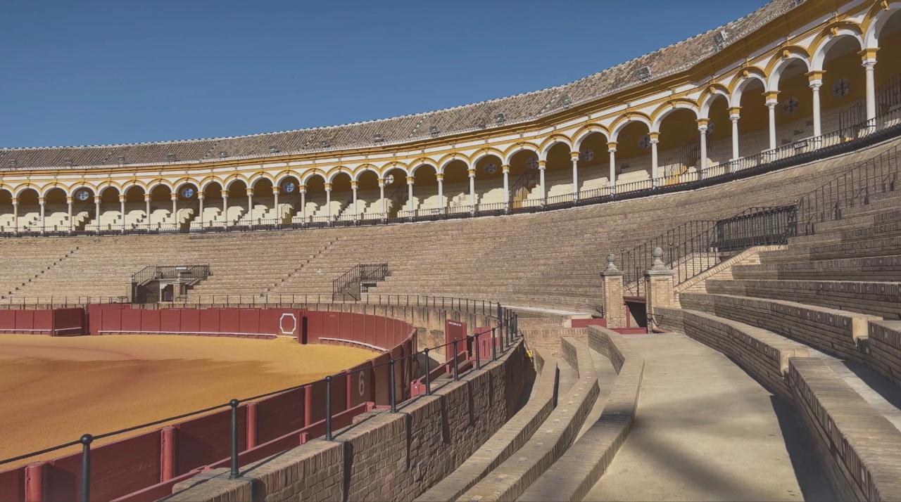 Sahar Te, still from Hearing Circles Approved Motion, 2025. Courtesy of the artist.  