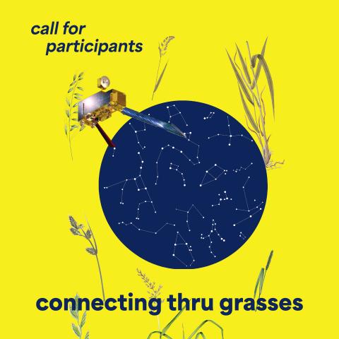 connecting thru grasses