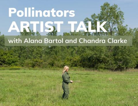 Pollinators