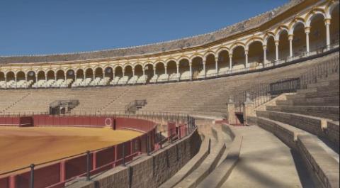 Sahar Te, still from Hearing Circles Approved Motion, 2025. Courtesy of the artist.  