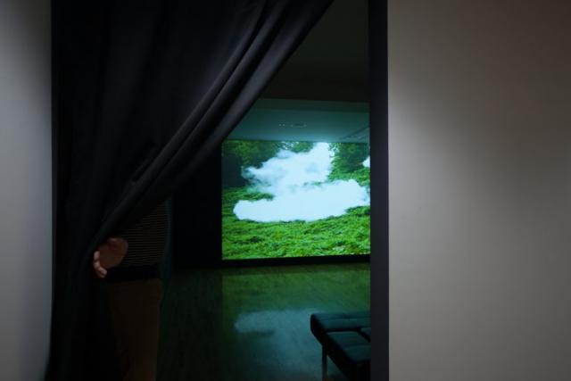 Performing the Landscape