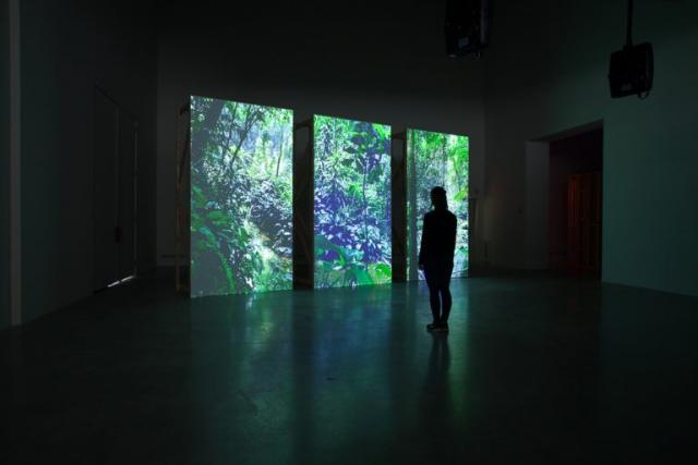 Performing the Landscape