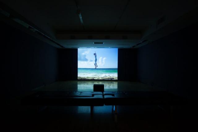Performing the Landscape