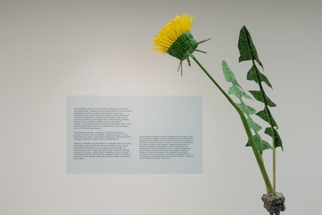 dandelion with blue square and dark blue text in background