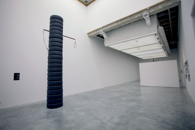 Wide view of the gallery. We can see plant, settle sow (2013) then further we can see Hide and Seek (2012)