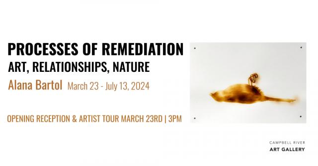 Processes of Remediation