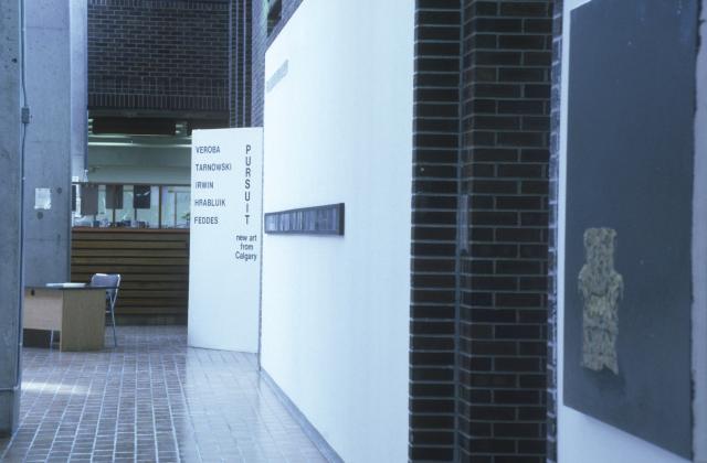 Installation view of Pursuit - New Art from Calgary, 1999