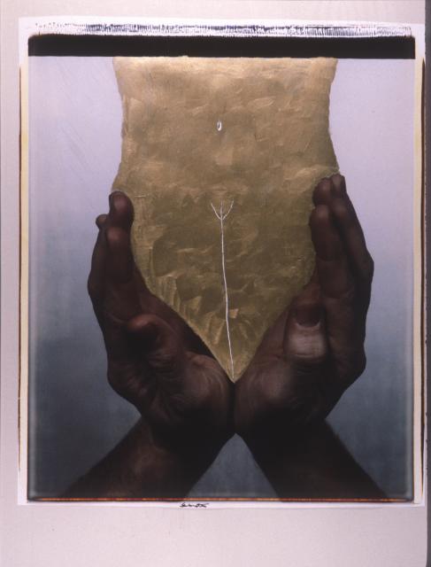 Iain Baxter, Instantaneous Response, installation view, 1981. 