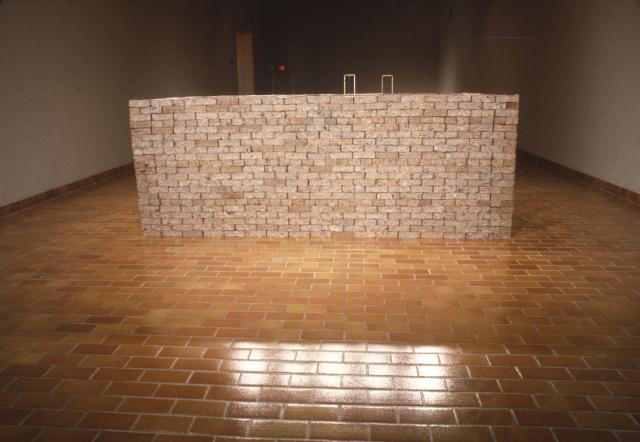 Liz Magor, Four Boys and A Girl, installation view, 1981.