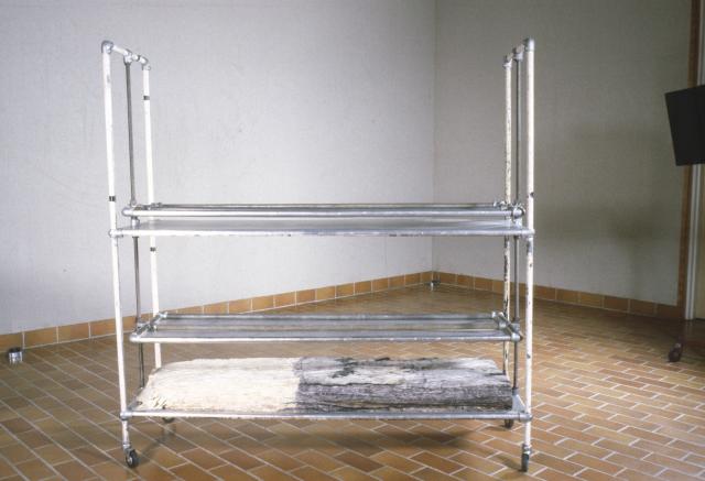 Liz Magor, Four Boys and A Girl, installation view, 1981.