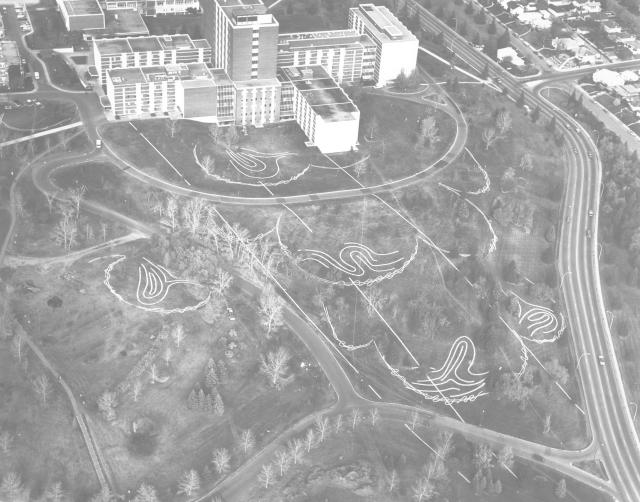 MONTREAL, installation view, 1981. 