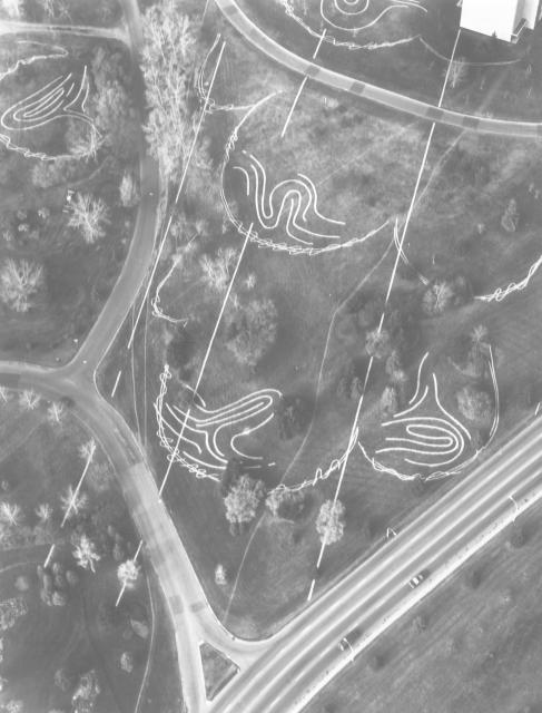 MONTREAL, installation view, 1981. 