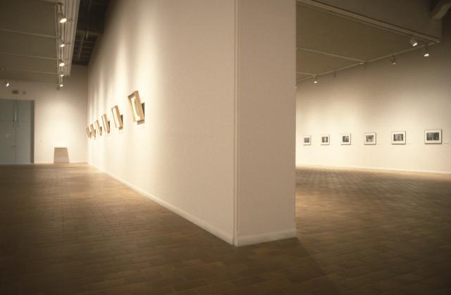 Fred Douglas, Redeemed Plates, installation view, 1997. 
