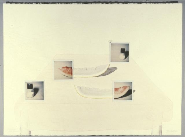 Iain Baxter, Instantaneous Response, installation view, 1981. 