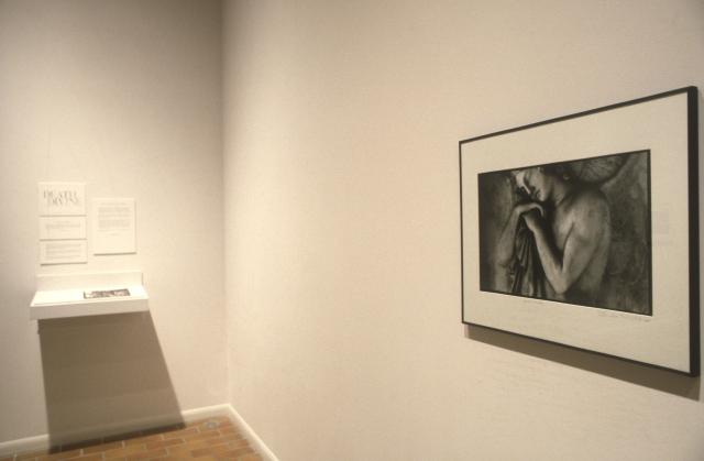 Pamela Williams, Death Divine: Photographs of Cemetery Sculpture from Paris, Milan, Rome, installation view, 1997.