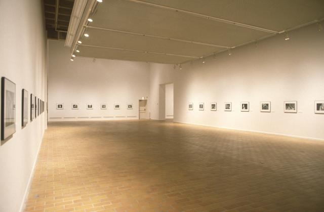 Pamela Williams, Death Divine: Photographs of Cemetery Sculpture from Paris, Milan, Rome, installation view, 1997.