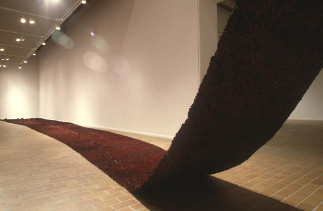 Velvet, installation view, 1995. Image courtesy of the Illingworth Kerr Gallery