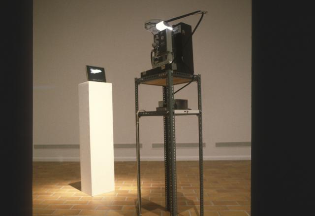 Wyn Geleynse, installation view, 1993.