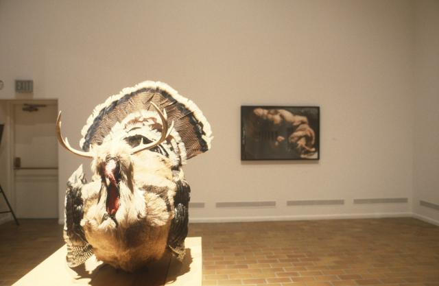 Transformers, installation view, 1996. Photo courtesy of the Illingworth Kerr Gallery, AUArts. 