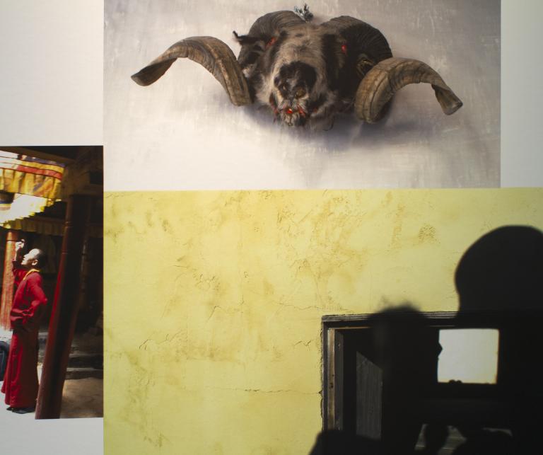 Detail from another collage. Fragmented images of a sheep's head, a yellow wall and a monk. There is white space in the left corners and in the upper right corner. 