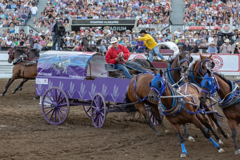 Chuckwagon races