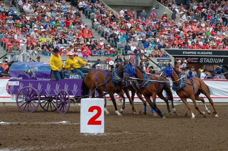 Chuckwagon races