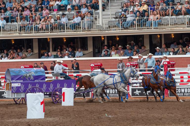 Chuckwagon races