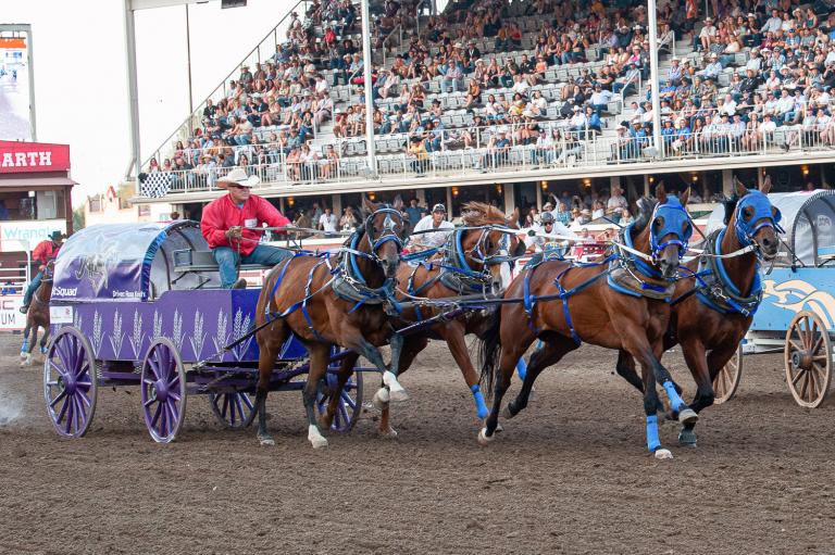 Chuckwagon races