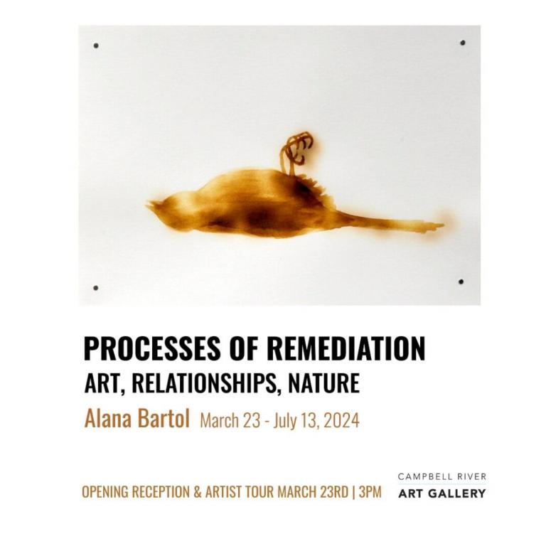Processes of Remediation