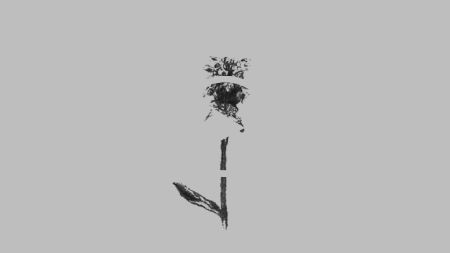 Herbaria