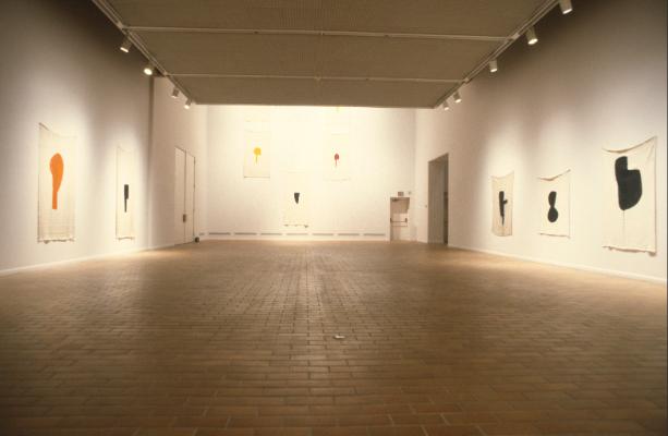 The Forming Rayons of John Heward, installation view, 1994. 